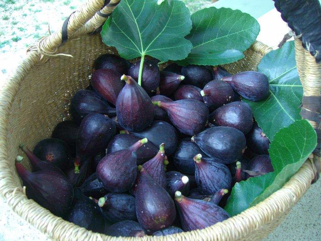B&B Il Grotto Bevagna Ngoại thất bức ảnh